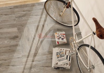 Gạch Ốp Lát APODIO 66353507